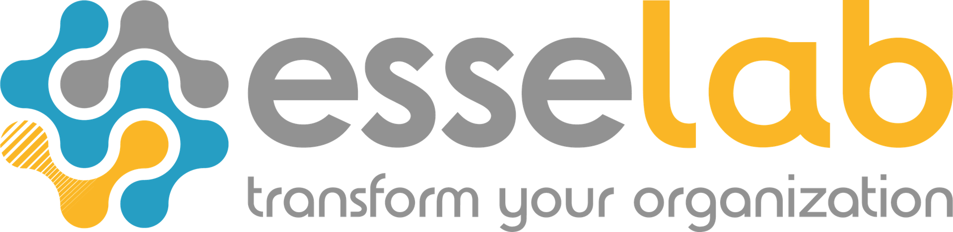 EsseLab loading